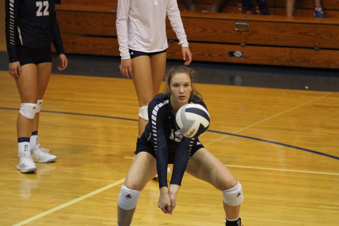 York vs. Columbus Lakeview volleyball 4.jpg
